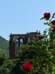 FZ017509 Roses and chapel in Bacharach.jpg